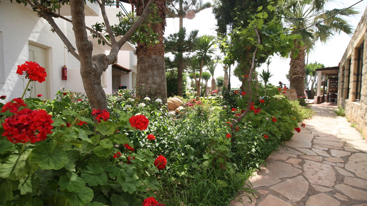 Photo of Outdoor in Agkisaras