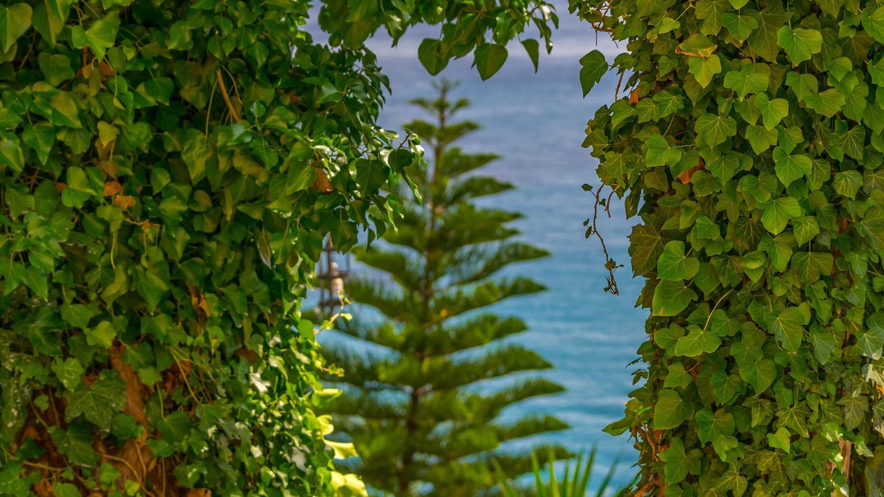 Photo of Outdoor in Perama