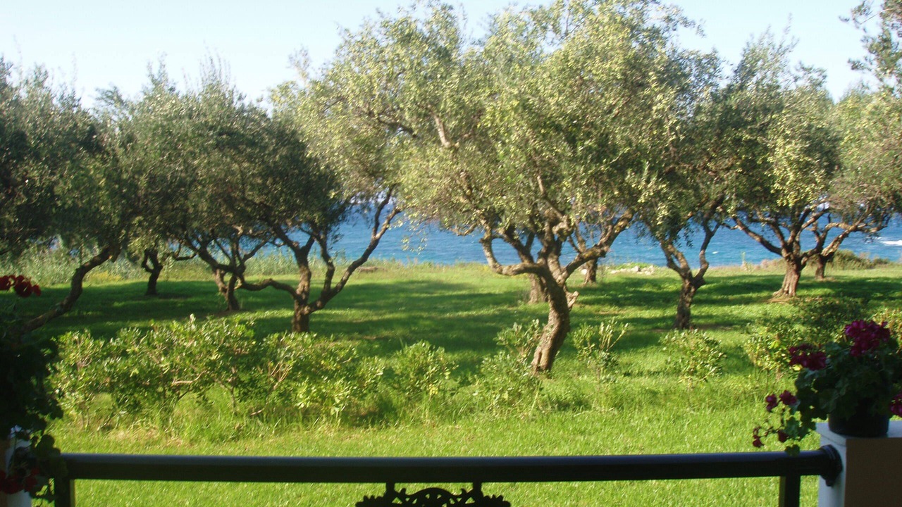 Photo of Patio Balcony in Psarou