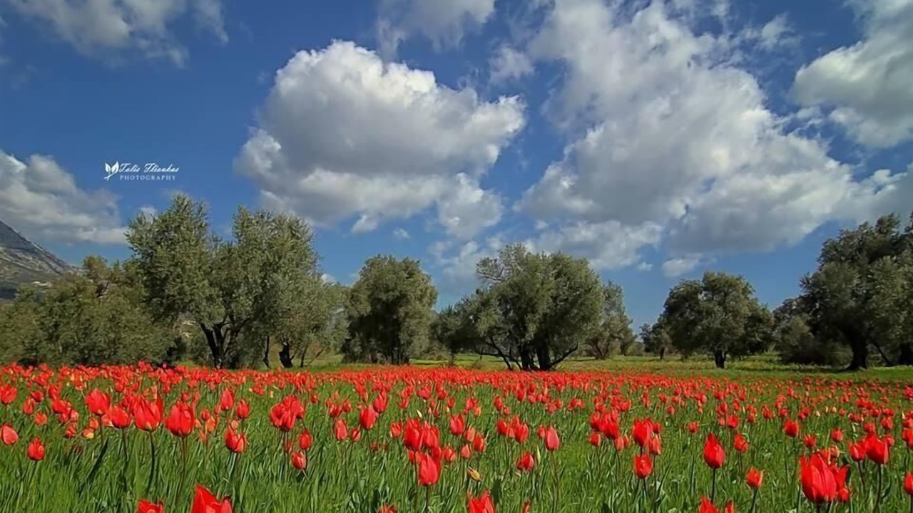 Photo of Outdoor in Karfas