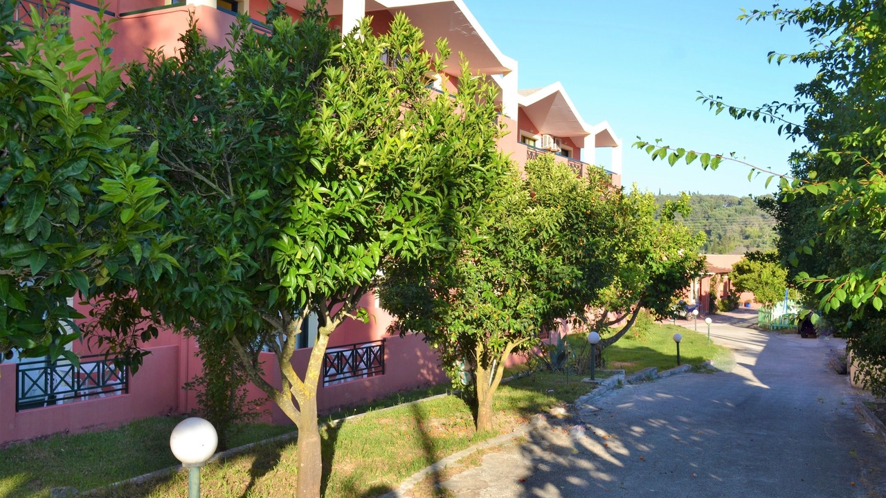 Photo of Outdoor in Sidari
