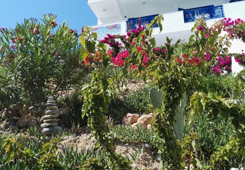 Photo of Outdoor in Stegna