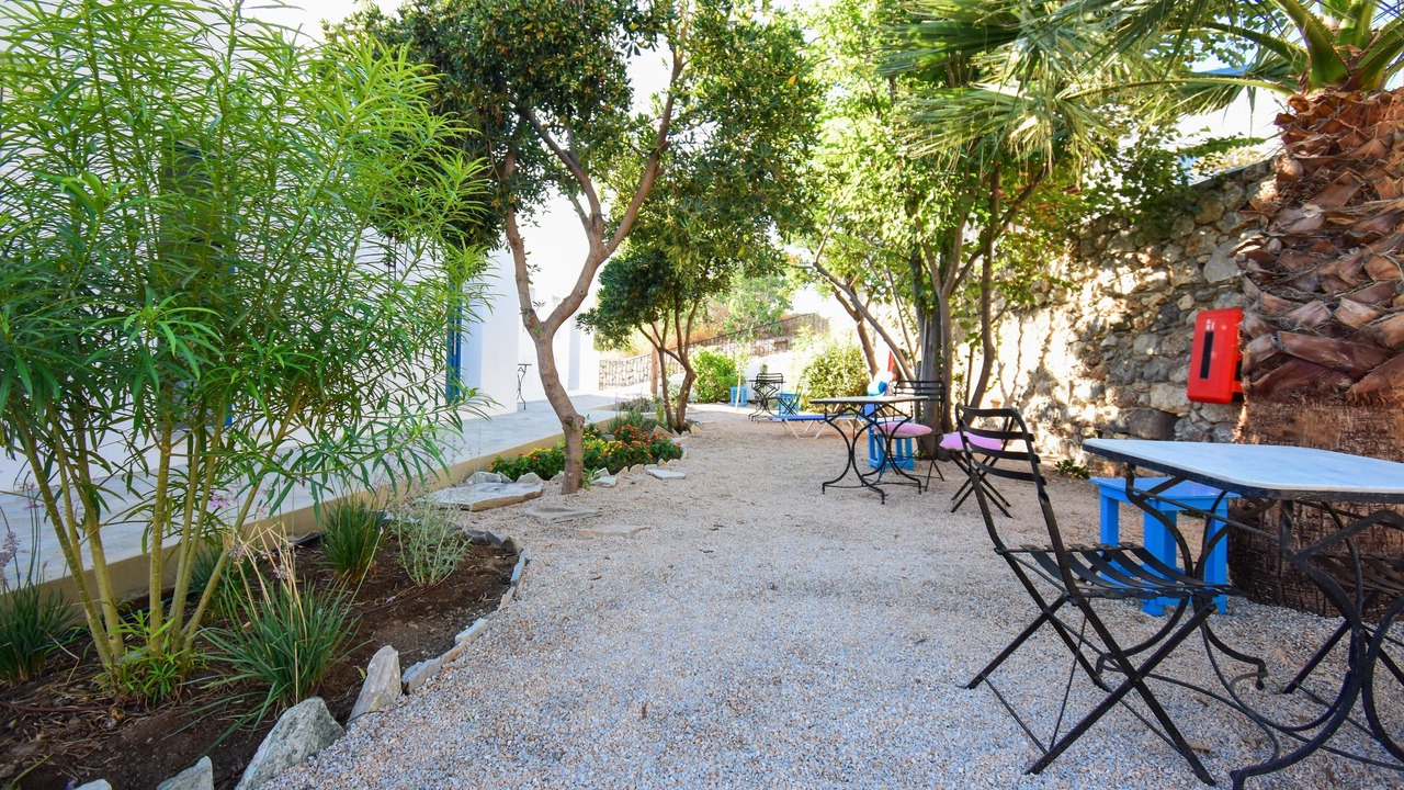 Photo of Outdoor in Mirties