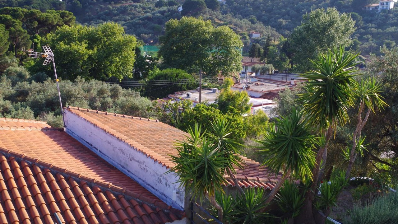 Photo of Outdoor in Troulos