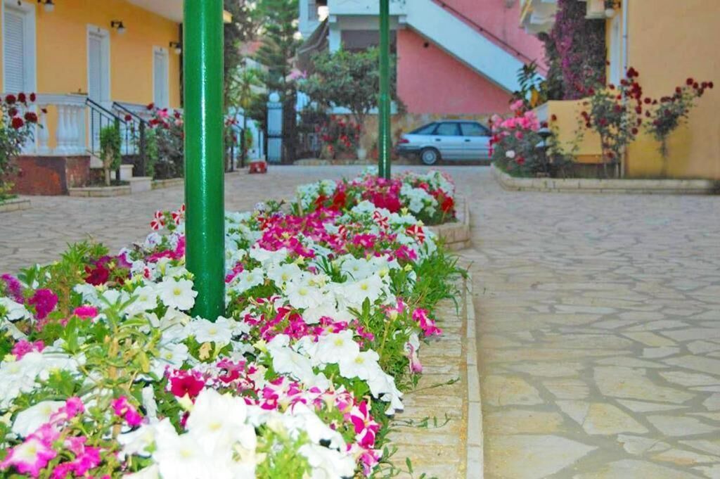 Photo of Outdoor in Kavos