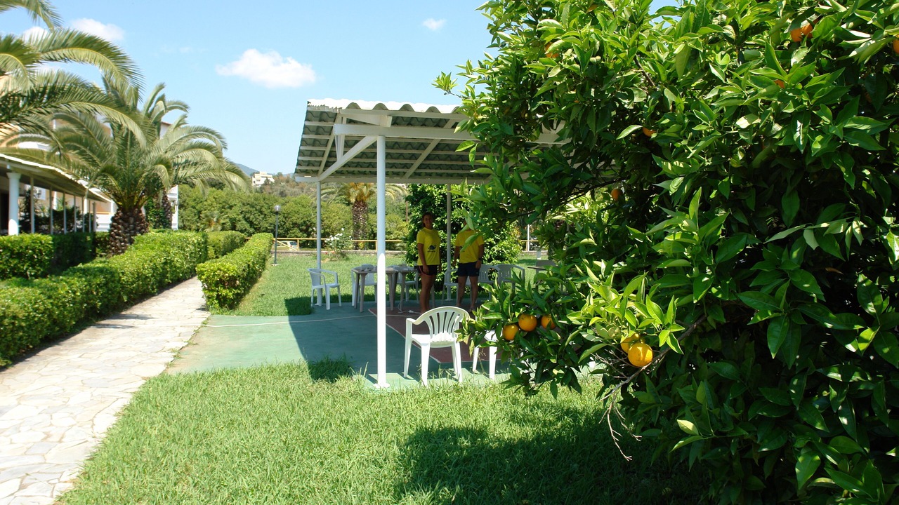 Photo of Patio Balcony in Dassia