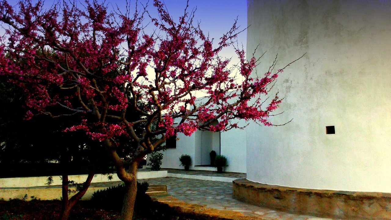 Photo of Outdoor in Apollonia