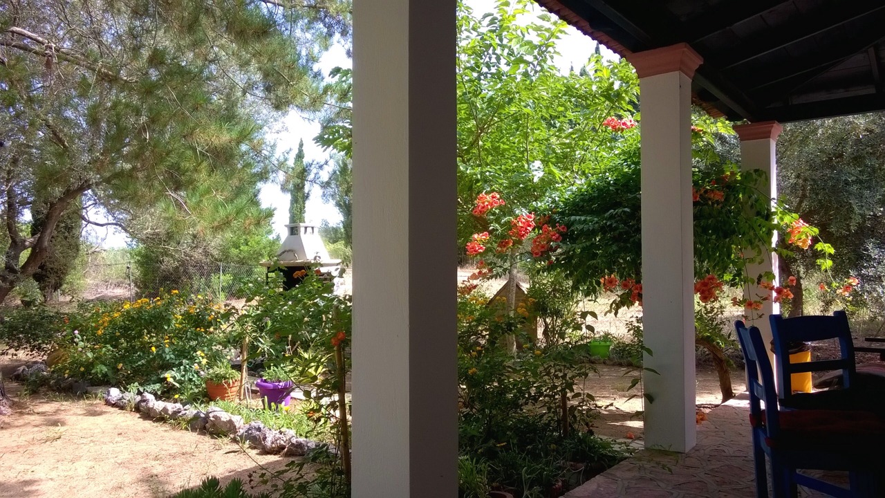 Photo of Outdoor in Melikia