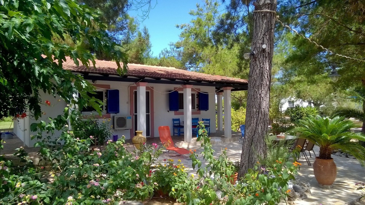 Photo of Outdoor in Melikia