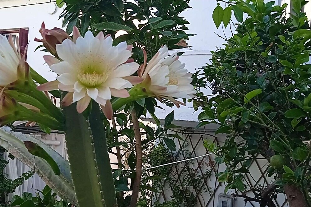 Photo of Outdoor in Limeniskos