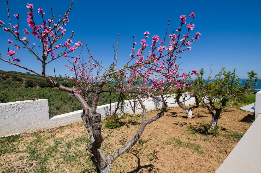 Photo of Outdoor in Kolymbari