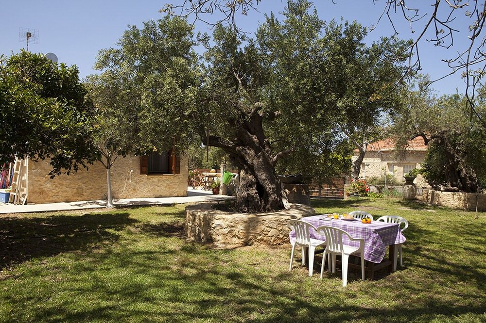 Photo of Outdoor in Drapanias