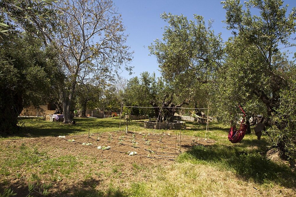 Photo of Outdoor in Drapanias