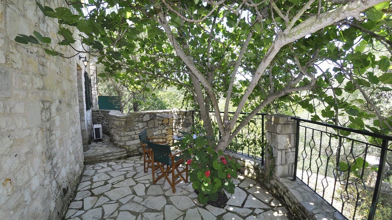 Photo of Outdoor in Vlachopoulatika