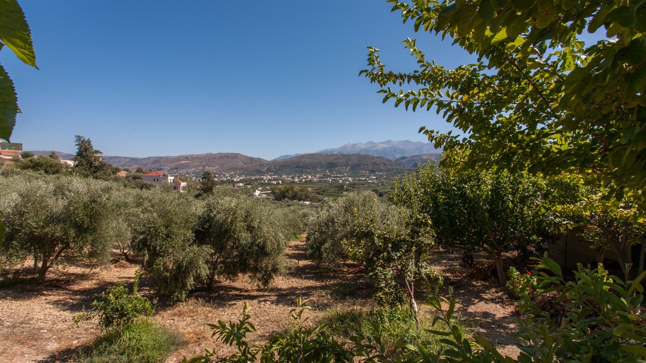Photo of Outdoor in Vamvakopoulo