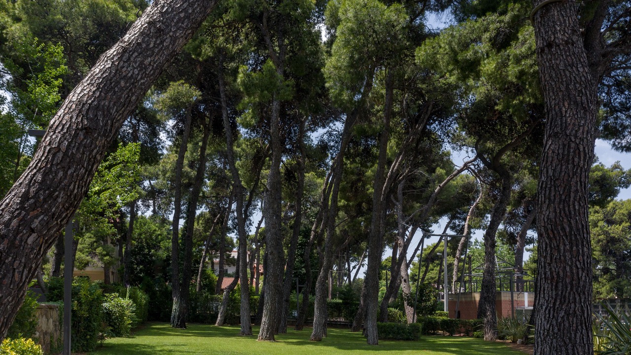 Photo of Outdoor in Kifisia