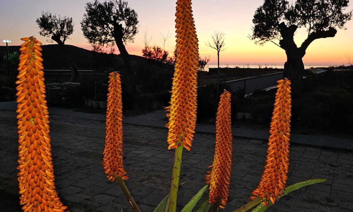 Photo of Outdoor in Ishem