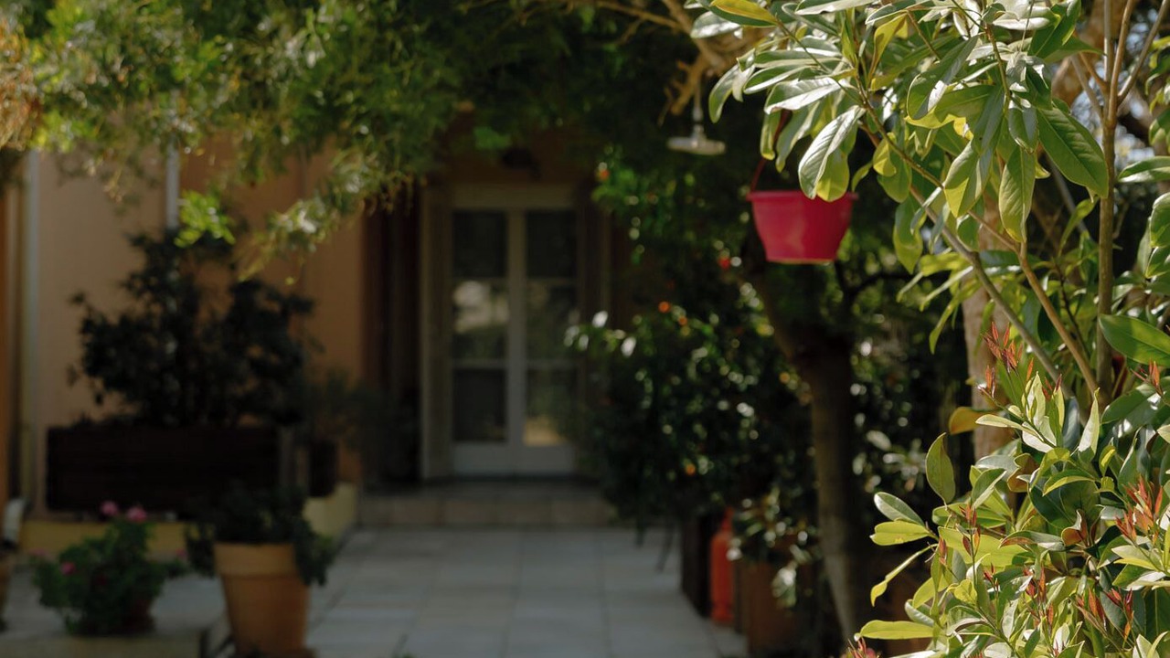 Photo of Outdoor in Alepou