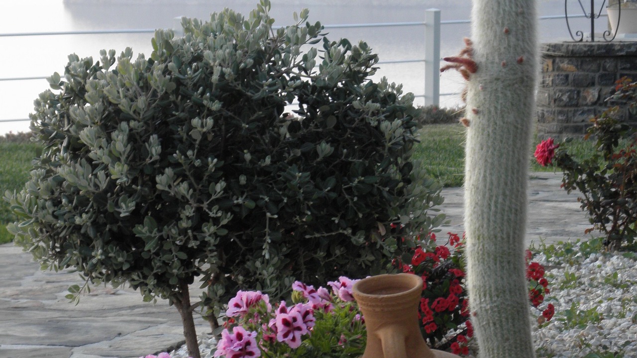 Photo of Outdoor in Pefki