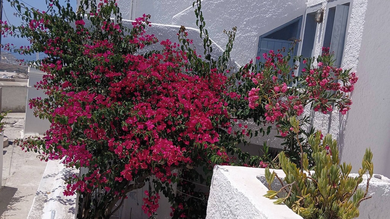 Photo of Patio Balcony in Pyrgos