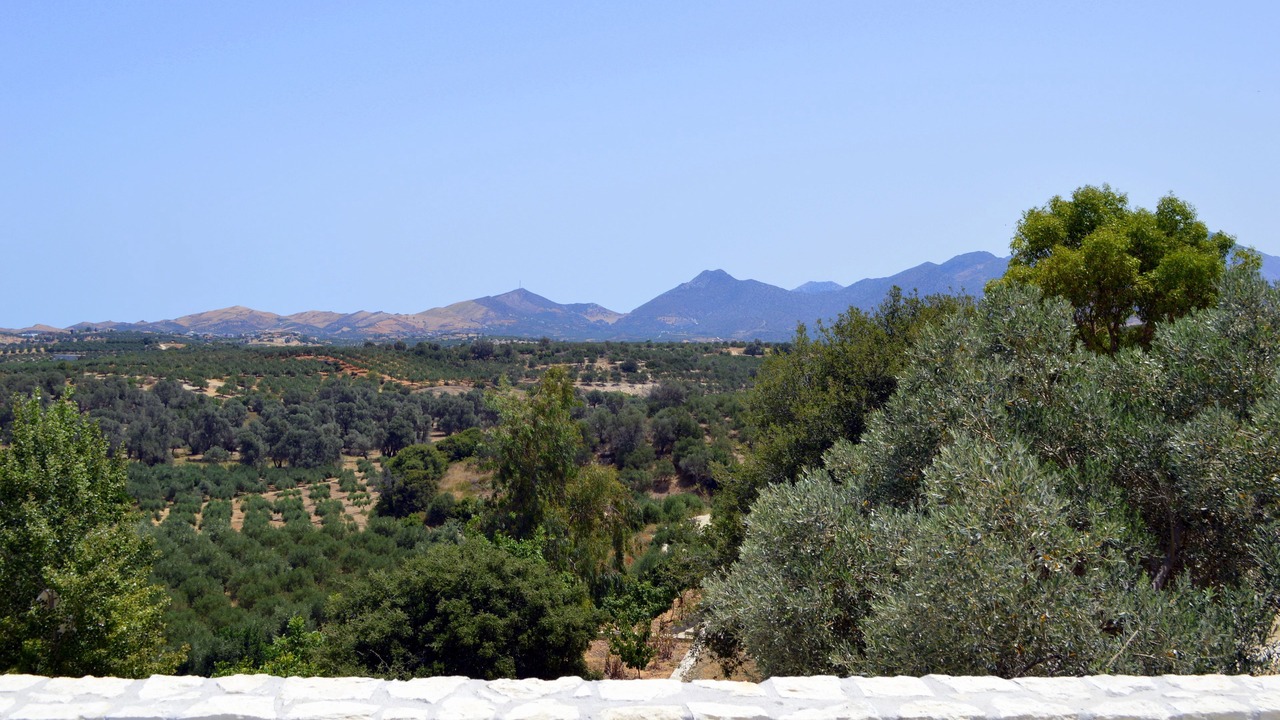 Photo of Others in Aggeliana