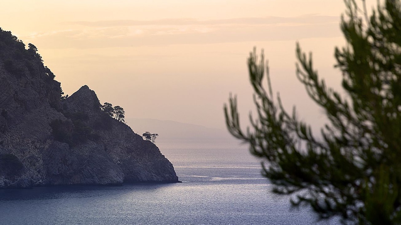 Photo of Others in Pilio