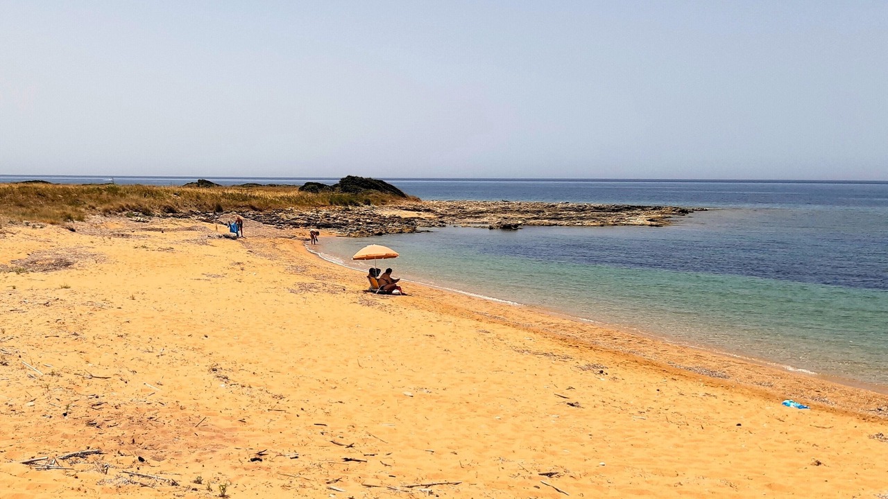 Photo of Others in Paliki