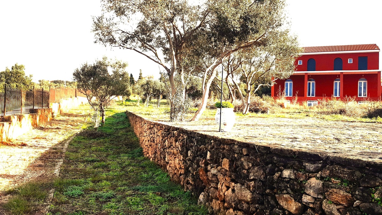 Photo of Outdoor in Paliki