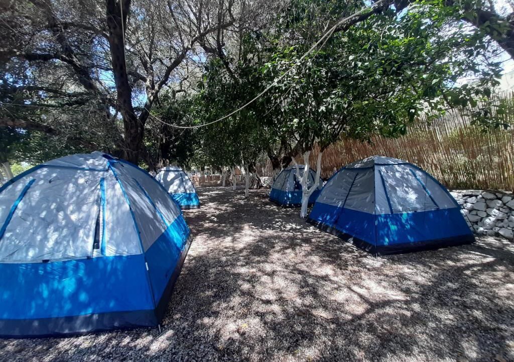 Photo of Outdoor in Jala