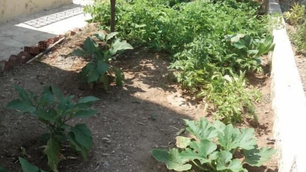 Photo of Outdoor in Panormos