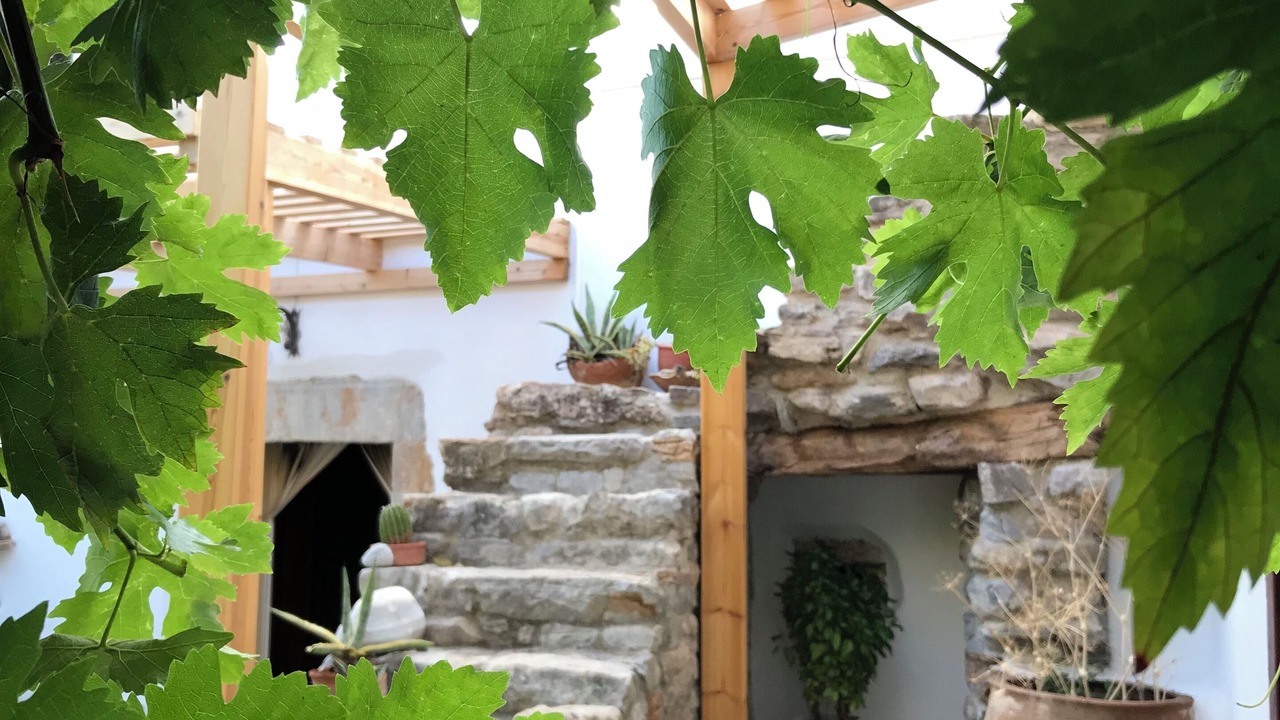 Photo of Outdoor in Minoa Pediada