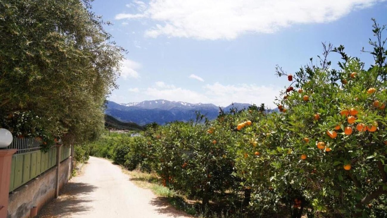 Photo of Outdoor in Agia