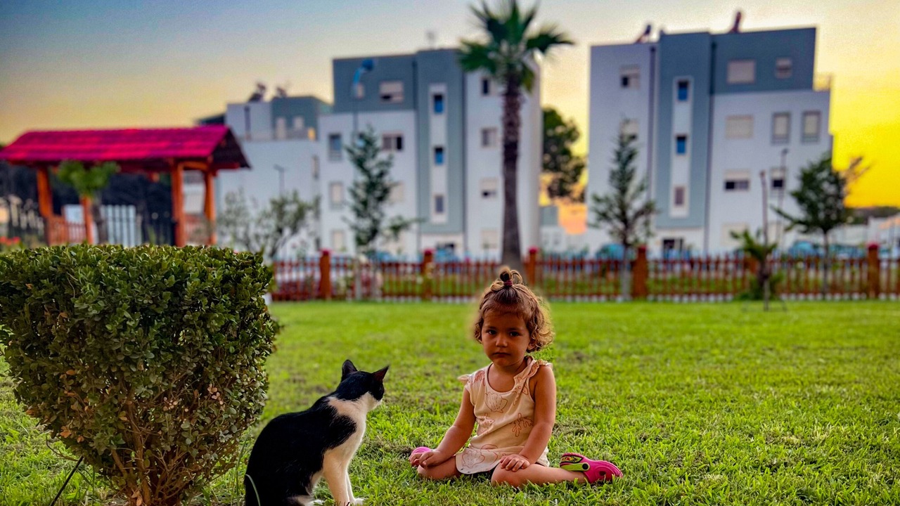 Photo of Others in Ishem