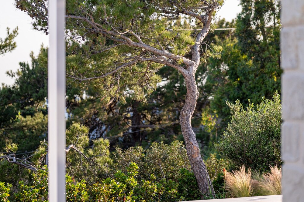 Photo of Outdoor in Ierapetra