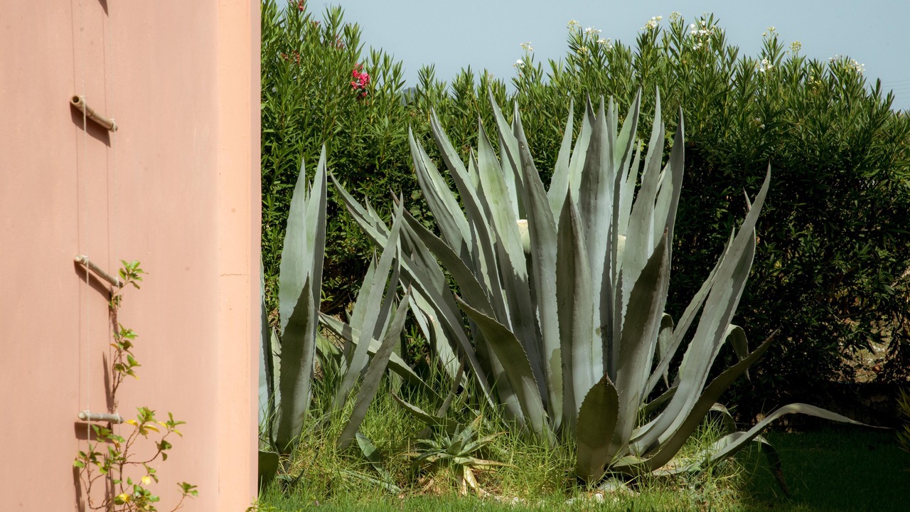 Photo of Outdoor in Agia Marina