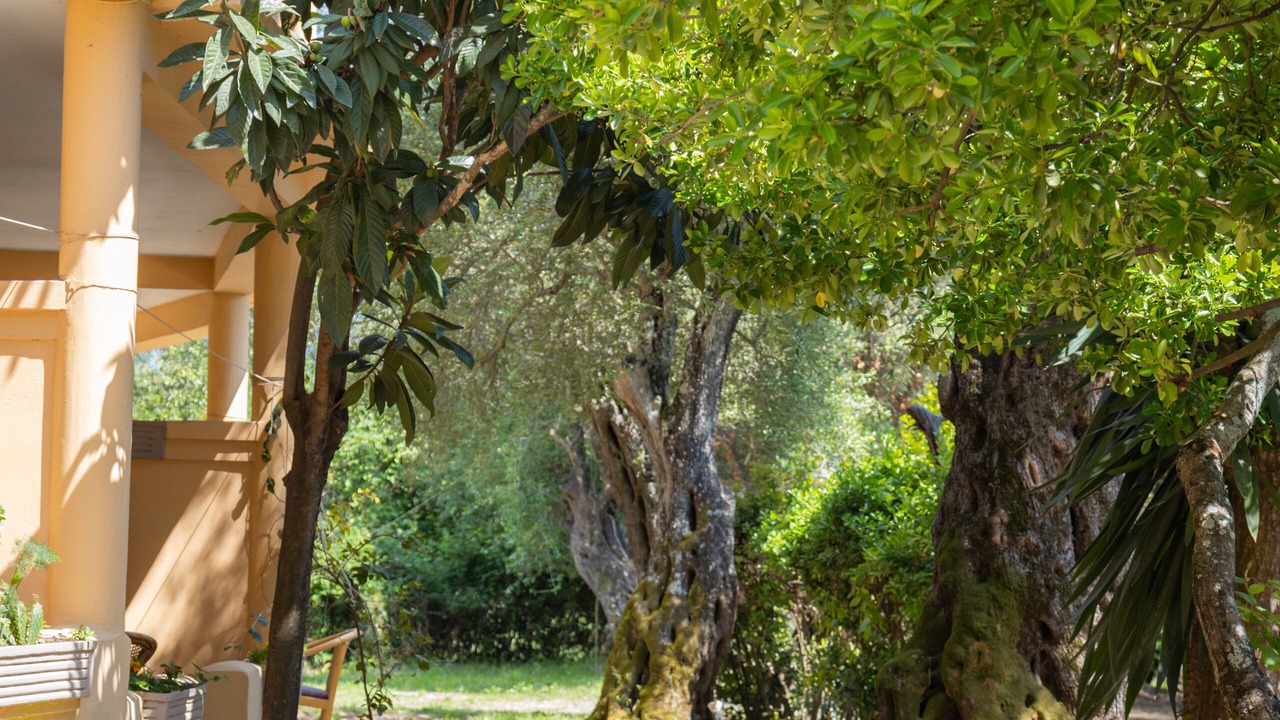 Photo of Outdoor in Ipsos