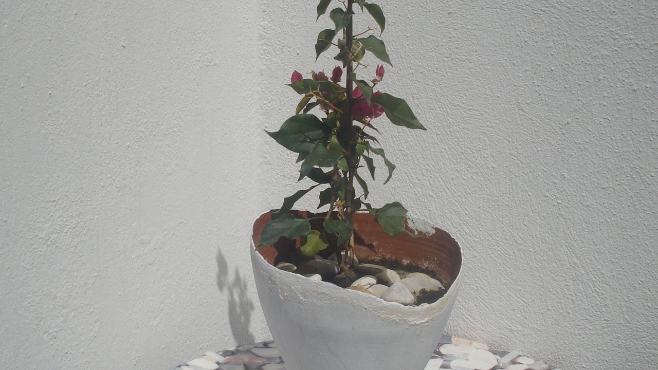 Photo of Outdoor in Piso Livadi