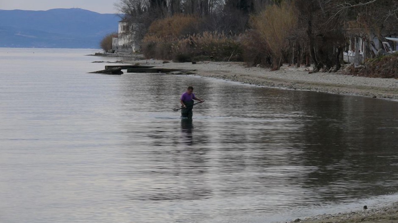 Photo of Others in South Pelion