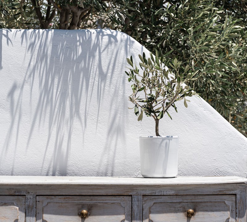 Photo of Outdoor in Oia