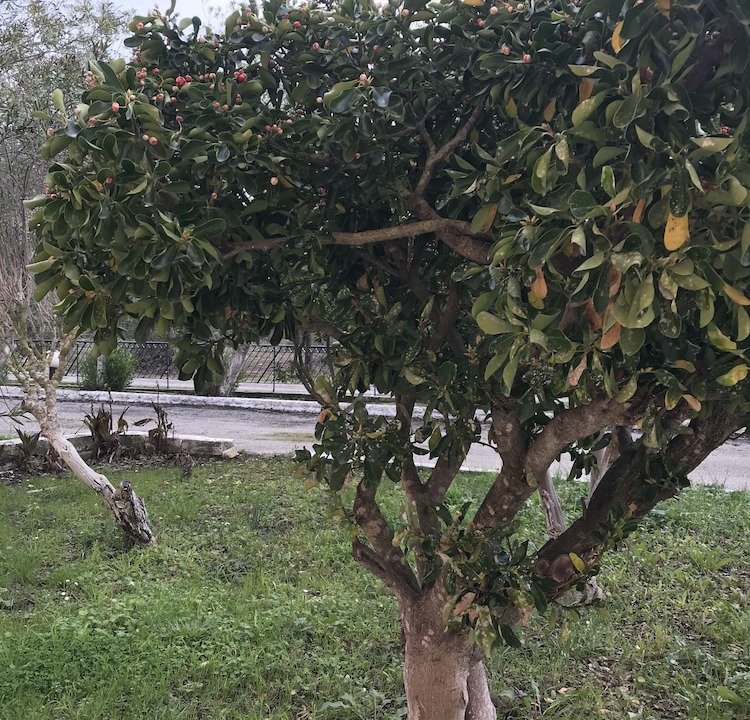 Photo of Outdoor in Roda