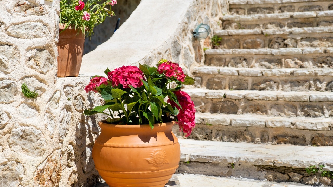 Photo of Outdoor in Kavallos