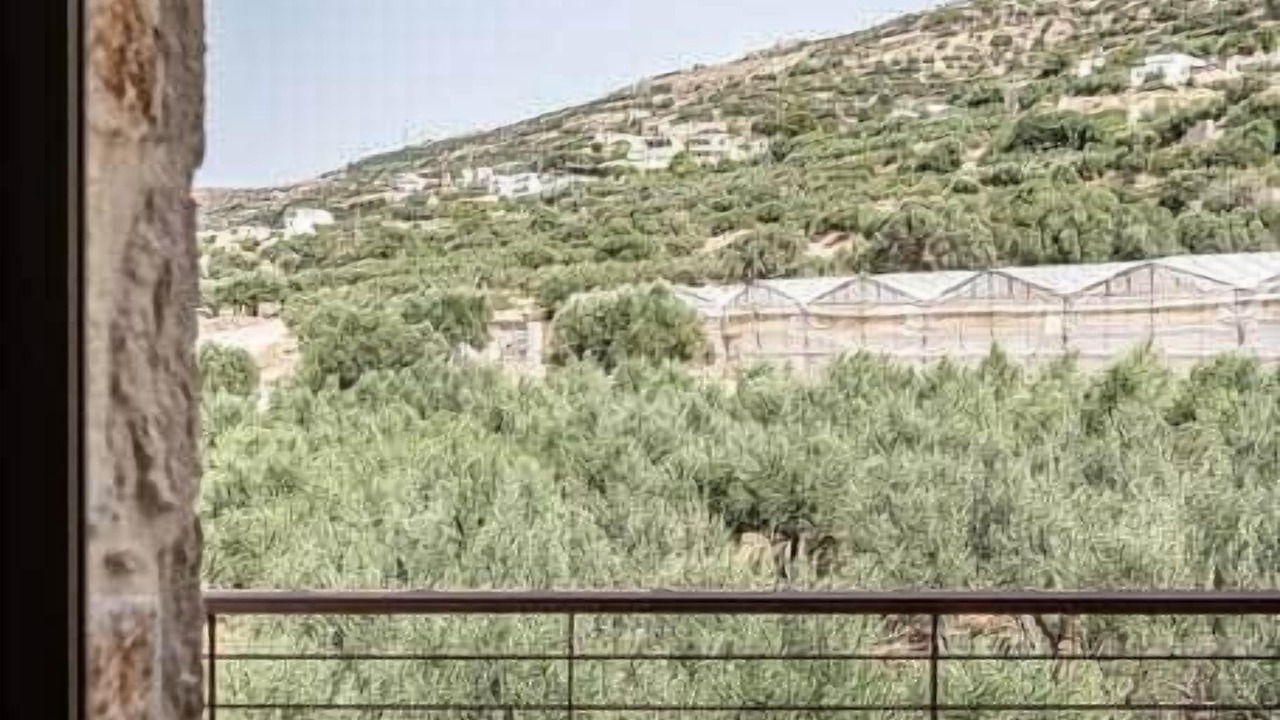 Photo of Others in Limeniskos