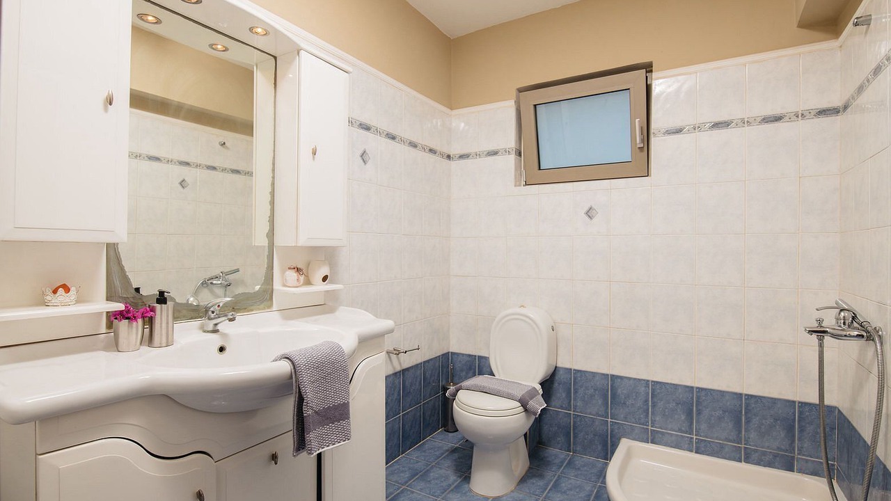 Photo of Bathroom in Agrilia