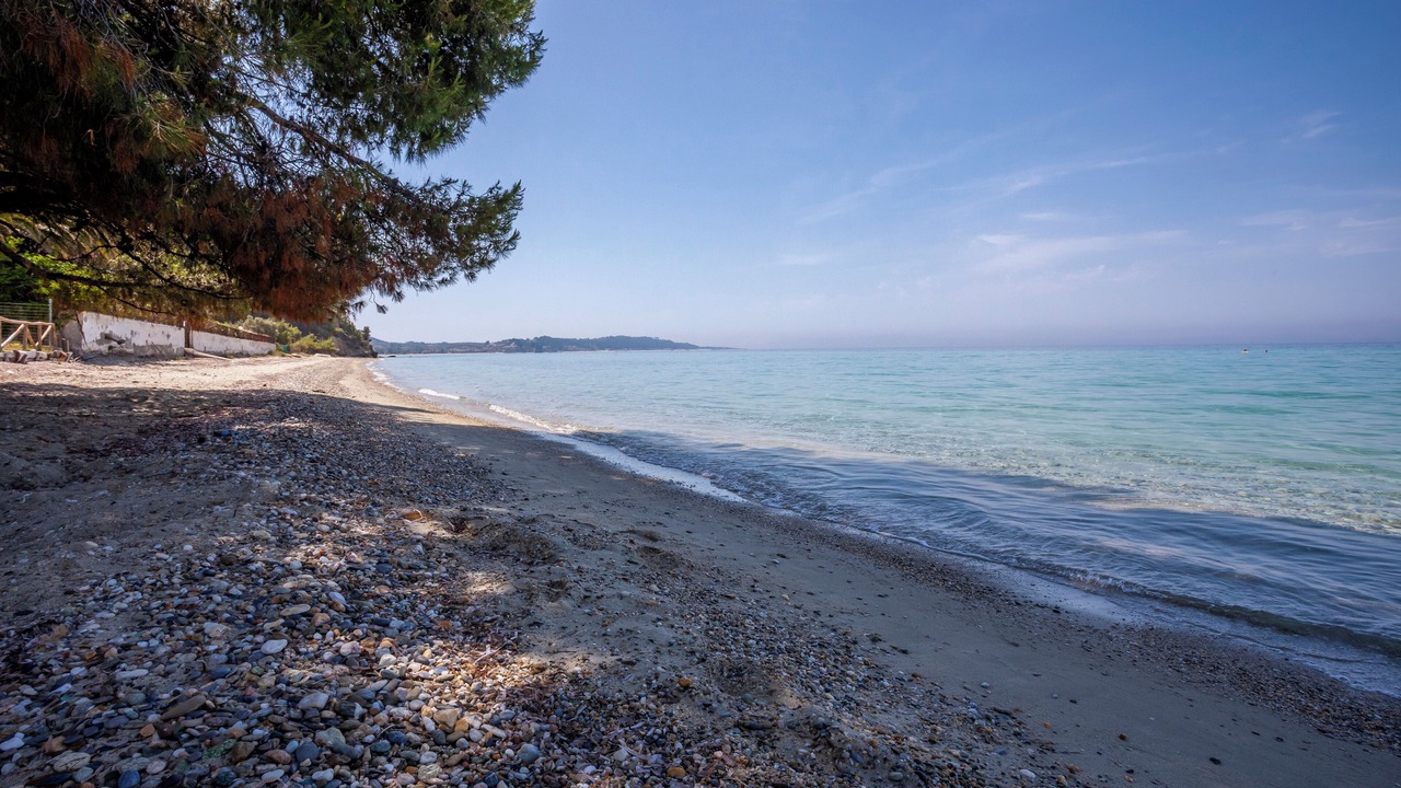 Photo of Others in Kassandra