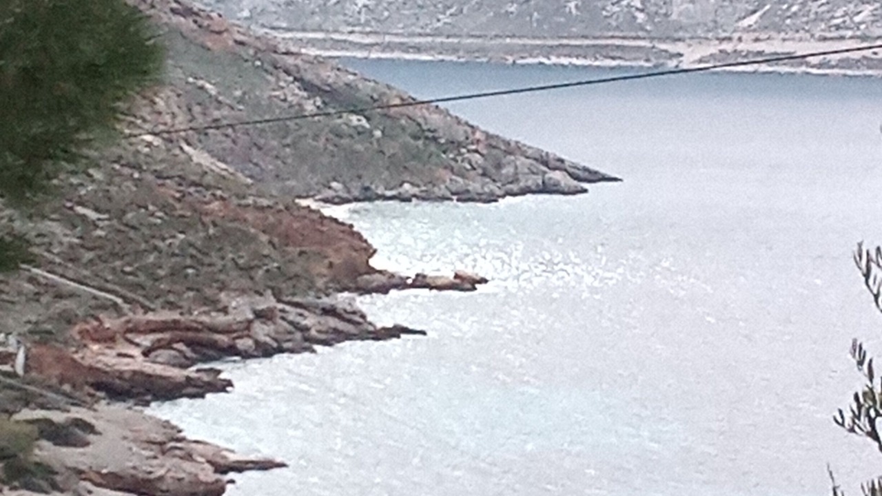 Photo of Others in Skalia
