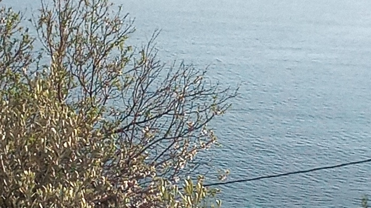 Photo of Outdoor in Skalia