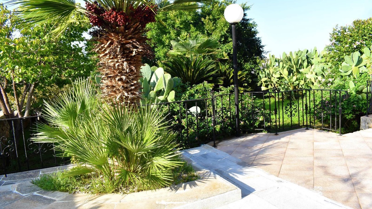 Photo of Outdoor in Chania