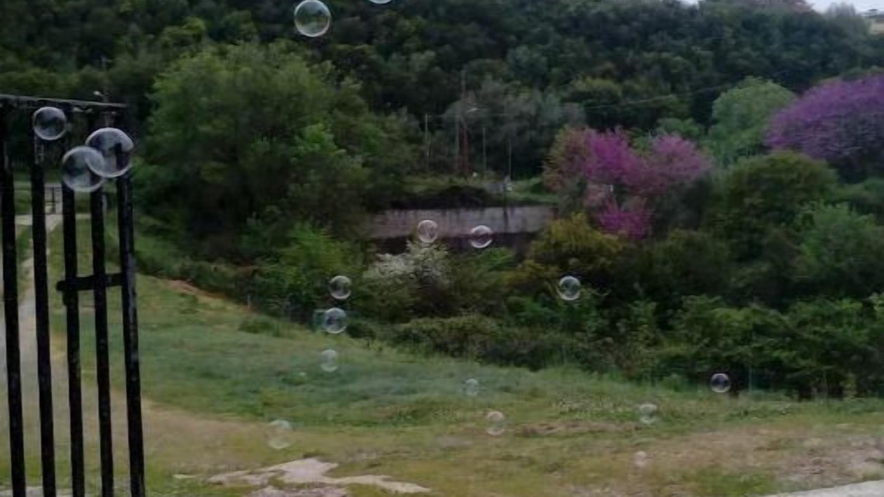 Photo of Outdoor in Pelekas