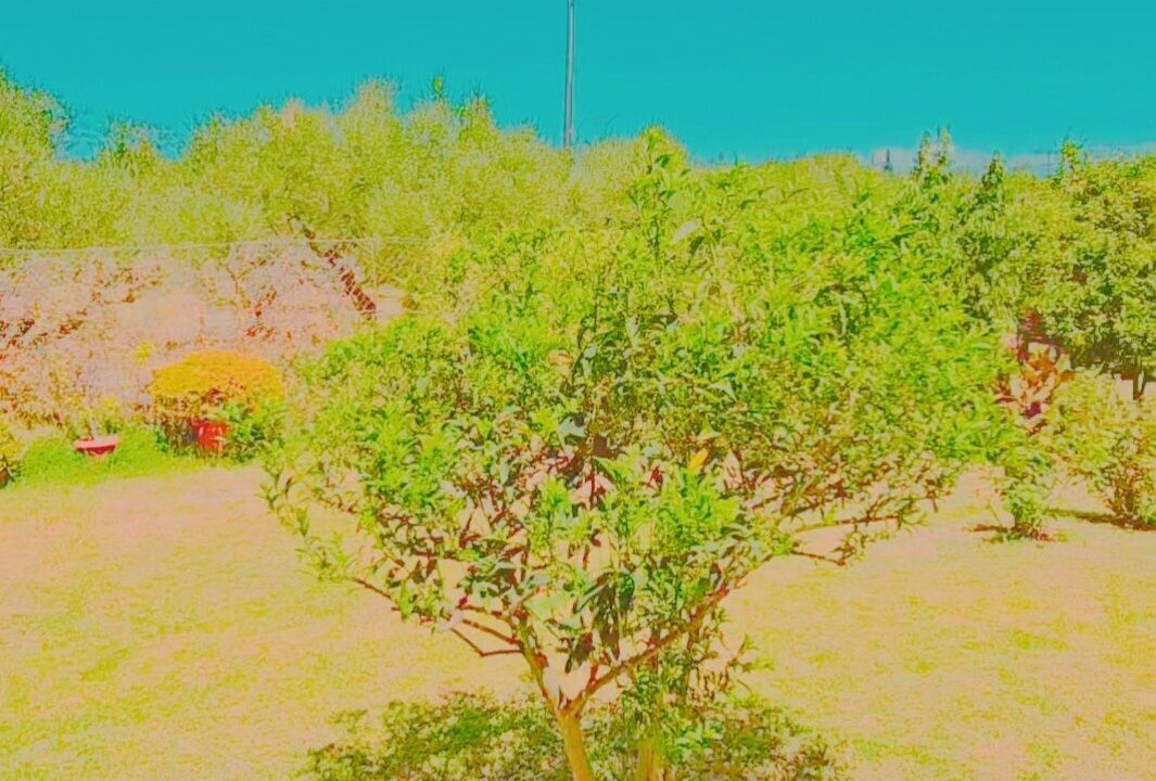 Photo of Outdoor in Lithakia