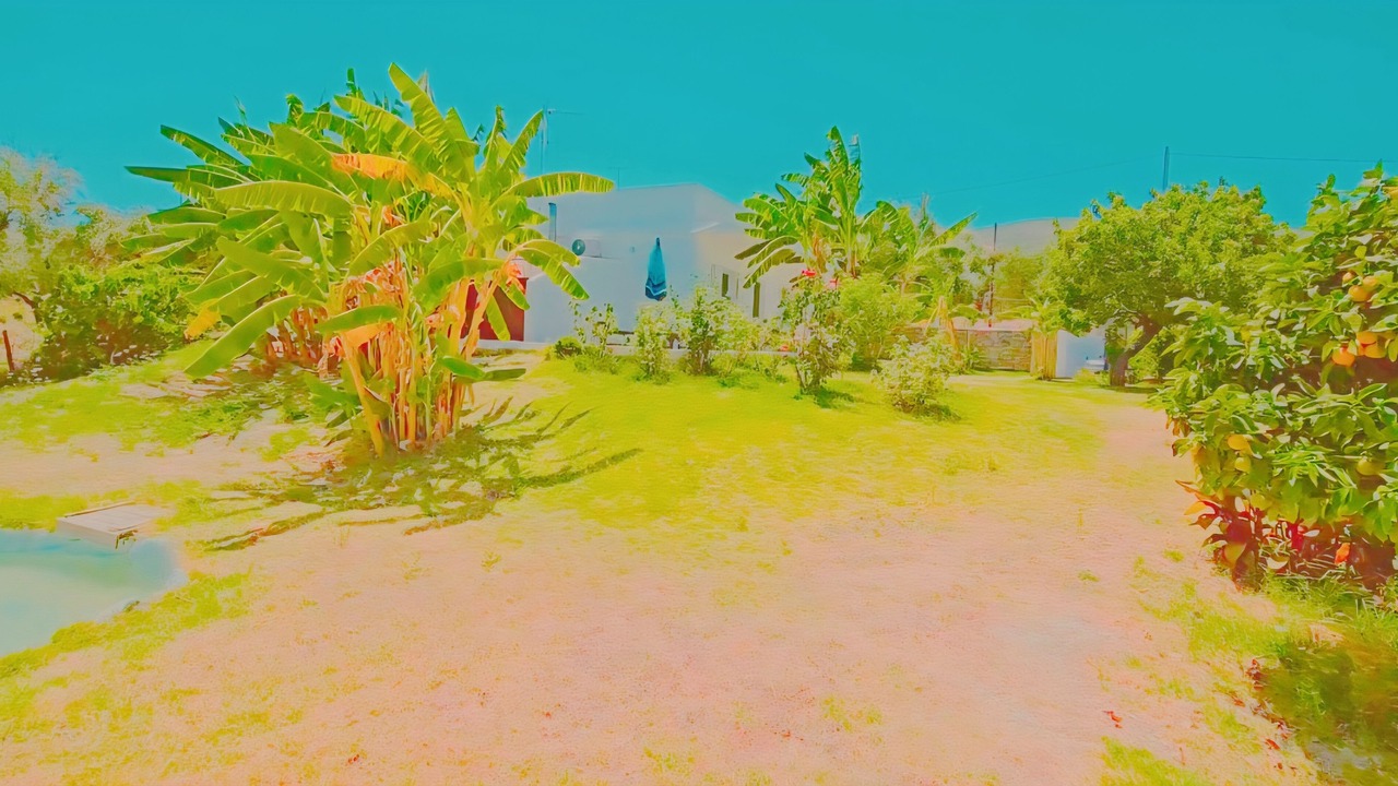 Photo of Outdoor in Lithakia